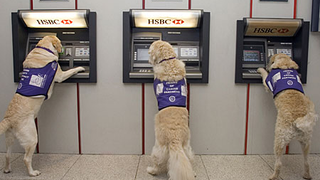 South Africa's ATMs Get Weaponized with Pepper Spray
